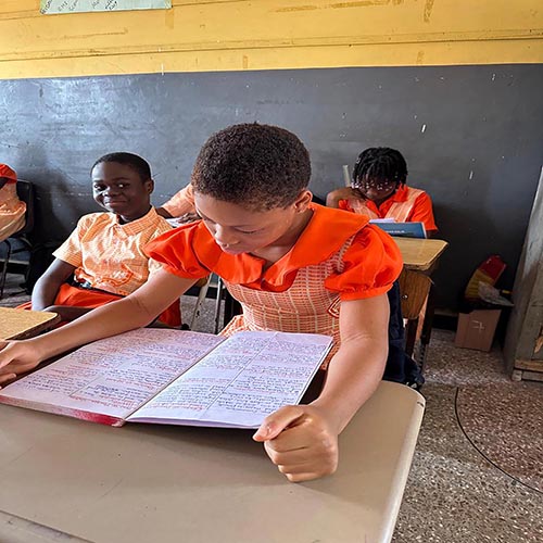 Primary School Program